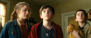 Sarah Bolger, Freddie Highmore, an orange cat, and Freddie Highmore look around the room with feeling.