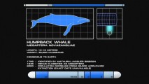 Who knew that Starfleet Academy training involves knowing all about humpback whales?