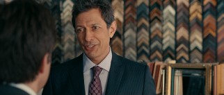 The reliable Jeff Goldblum lends color as Wally's boss/mentor/confidante Leonard.