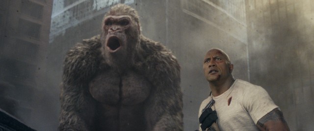 In the film "Rampage", primatologist Davis Okoye (Dwayne Johnson) stands by his friend George, an albino silverback gorilla who begins growing and growing more aggressive.