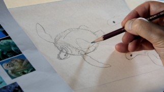 Michael Dudok de Wit demonstrates how to draw a turtle in "The Secrets of 'The Red Turtle.'"