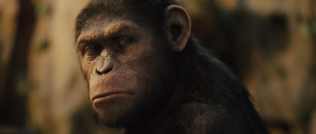 The stunning result of motion capture performance and computer animation, Caesar (Andy Serkis) quickly emerges as one of the most poignant animals in cinema history.