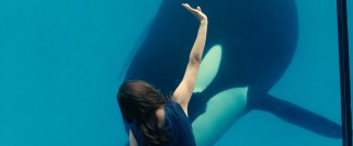 Stphanie (Marion Cotillard) greets an old colleague through the safety of glass.