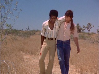 Stranded together in the desert, Willie (Michael Ontkean) allows the more seriously wounded Terry (Georg Stanford Brown) to lean on him when he's not strong in Season 2 premiere "Cauldron."