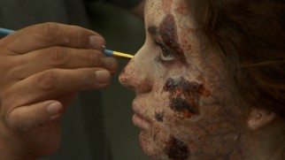 The Zombie Makeup FX Handbook illustrates the production's Academy-overlooked techniques.
