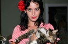 Katy Perry: Part of Me Blu-ray 3D + Blu-ray + DVD + Digital Copy Review