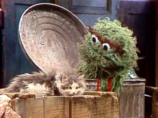 Injured alley cat Tiny Tim does not look very comfortable next to Oscar the Grouch.