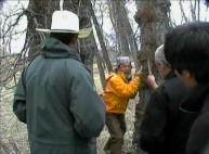 What looks like a crazy person being helped in the woods is really just a brightly-dressed Jackie Chan coming up with stunt ideas in short Shanghai Noon featurettes.