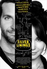 Silver Linings Playbook (2012) movie poster