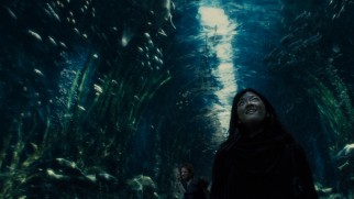 Yona (Ah-Sung Ko) admires the aquarium car, one of the Snowpiercer's many splendors heretofore unknown to many passengers.