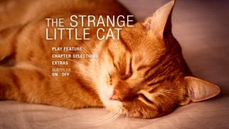 The cat who's not particularly strange or little sleeps on the DVD's scored main menu.