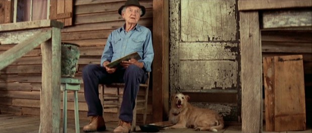 Abner Meecham (Hal Holbrook) stands his ground (or sits, as the case may be) at the tenant shack he moves into with newly obtained dog Nipper (Dually).