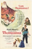 The Three Lives of Thomasina movie poster - click for larger view, other designs and to buy