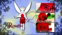 Apparently, three types of roses inspired Rosetta's attire, not "American Beauty."