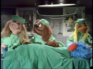 Rowlf plays absent-minded Doctor Bob and Miss Piggy and Janice are his assistants in "Veterinarian's Hospital" sketches.