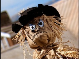 The Baxter's scarecrow is said to come alive on certain nights and steal people's souls. After this episode, I wouldn't be surprised to see Raven headlining "I Still Haven't Forgotten What You Did Nine Summers Ago" in 2006.