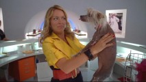 In "Family/Affair", Amanda (Becki Newton) becomes the not-so-proud owner of her mothers dog.