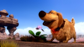 The short film "Dug's Special Mission" opens with the dog stopping to smell this flower.