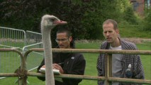 Designer Ricky Nerva and director Pete Docter both study the behavior of an ostrich as inspiration for "Out Giant, Flightless Friend Kevin."