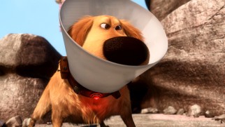 Dug the dog tries to make the best of his time in the Cone of Shame.