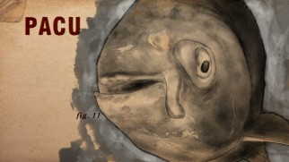 Weird-looking real creatures are described aurally by Jeff Corwin.