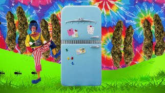 Using suggestions from pot convention attendees, Tosh.0 creates this colorful Ultimate Stoner Video.