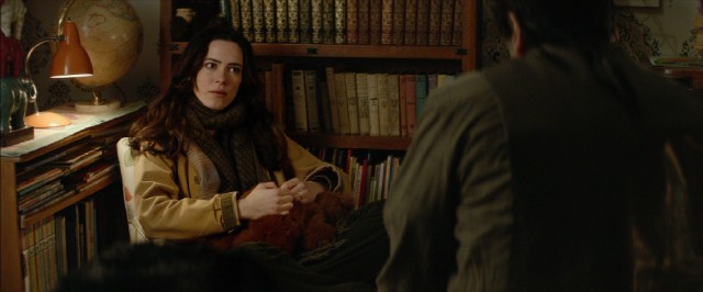 In "Tumbledown", widow-journalist Hannah Miles (Rebecca Hall) is referred to seek outside help on the biography of her late husband she is working on.