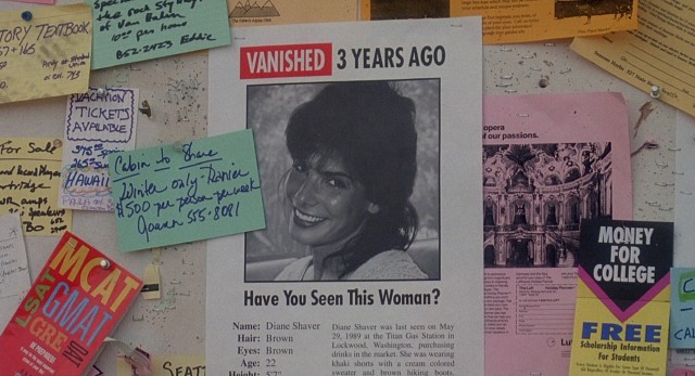 Who hasn't seen this woman? Sandra Bullock plays Diane Shaver, the woman who vanishes in "The Vanishing."