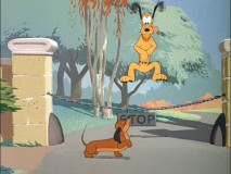 Pluto's love has him leaping in "Canine Casanova"