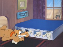 A turtle peeks in on "Pluto's Housewarming."