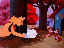 Pluto battles with Chip and Dale in "Food for Feudin'."