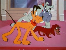 Butch disapproves Dinah picking Pluto in "Pluto's Heart Throb."