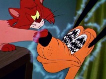 There's something wrong with the reception on DogTV in "Cold Turkey."