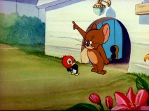 Directing this baby woodpecker elsewhere, Jerry isn't yet ready for fatherhood in "Hatch Up Your Troubles."