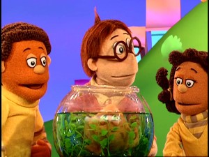 Zander and Mandy are skeptical of Binky's unbelievable adventures with his supposedly talking goldfish Norval.