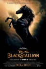 The Young Black Stallion (2003) movie poster - click to buy and browse through others