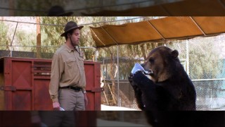 Bam-Bam the bear eats the pages of script with which T.J. Miller records his Ranger Jones audition.