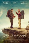 A Walk in the Woods (2014) movie poster