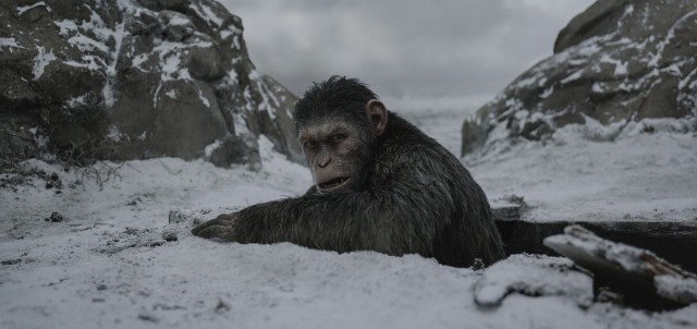 Once again, computer animation and Andy Serkis motion capture brings the ape Caesar to life like no digital character before him.