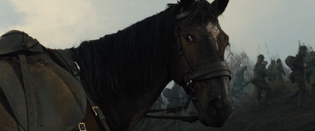 Joey the War Horse has the most screen time of anyone as he rides on both sides of World War I.