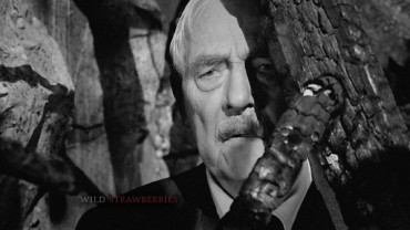 Isak (Victor Sjstrm) peeks out behind a tree on Criterion's simple but sufficient Wild Strawberries Blu-ray menu.