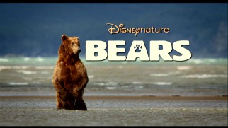 Don't worry kids, Disneynature will return to theaters next spring with the April 2014 release of "Bears."