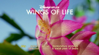 A Meryl Steep flower opens up on the DVD menu for Disneynature's "Wings of Life."