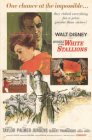 Miracle of the White Stallions movie poster