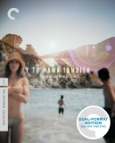 Y Tu Mamá También: The Criterion Collection Blu-ray + DVD Dual Format Edition cover art -- click to buy from Amazon.com