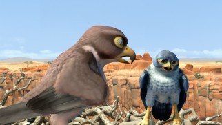 "Parents just don't understand," thinks Kai the blue falcon.