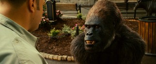 Among the zoo animals who reveal their speech powers, depressed gorilla Bernie (voiced by Nick Nolte) gets the most attention.