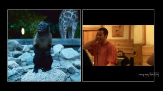 Adam Sandler's goofy voice for Donald the Monkey is just one of many effects applied.