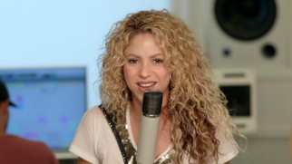 Shakira appears in human form in the music video for her theme song "Try Everything."