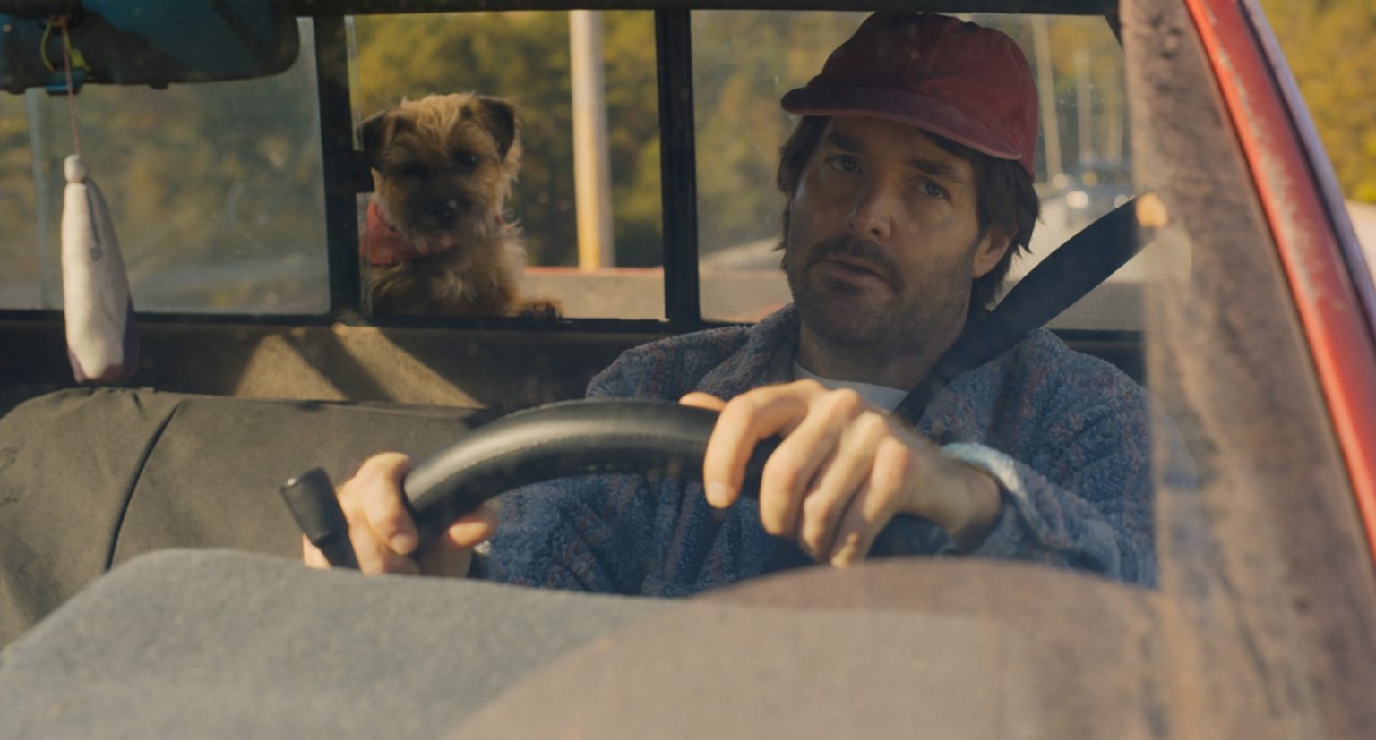 Strays Movie Review ‹ DVDizzy
